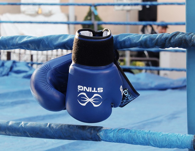 boxing, boxing gloves, match, blue, ring, passion, sport, events, dating, competition, sweat, fatigue, life, power, boxers, punch, boxing gloves, boxing gloves, boxing gloves, boxing gloves, boxing gloves